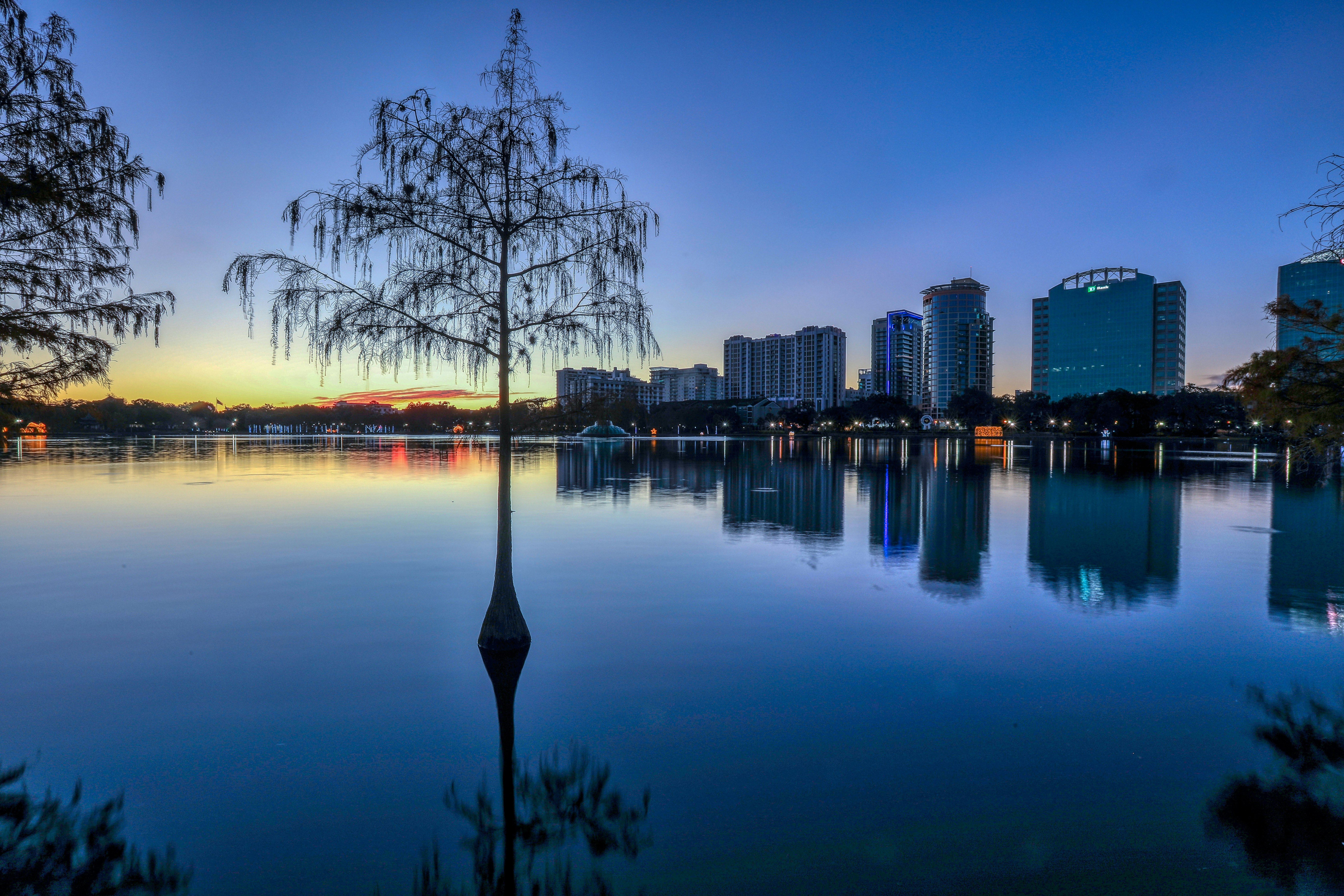 body of water near city buildings during night time